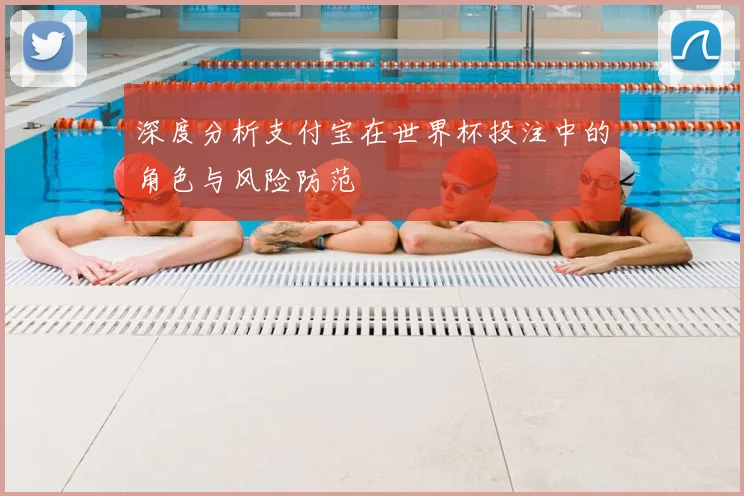 深度分析支付宝在世界杯投注中的角色与风险防范